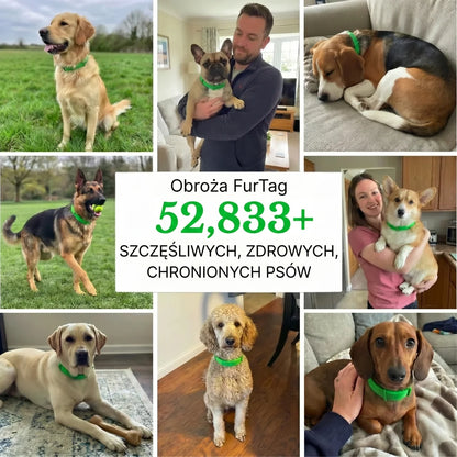 Obroża Furtag - Chroń swojego psa przed kleszczami | 8 miesięcy ochrony